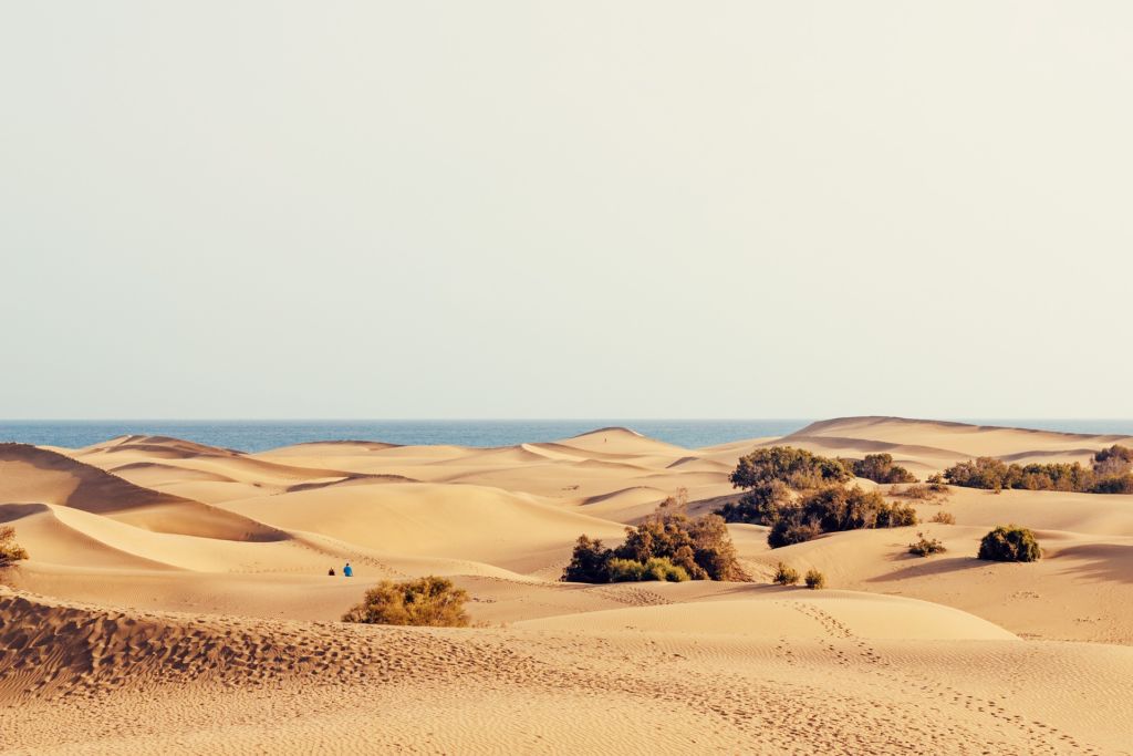 Sahara-Feeling auf Gran Canaria: Die Insel ist unheimlich abwechslungsreich. Foto: Pixabay