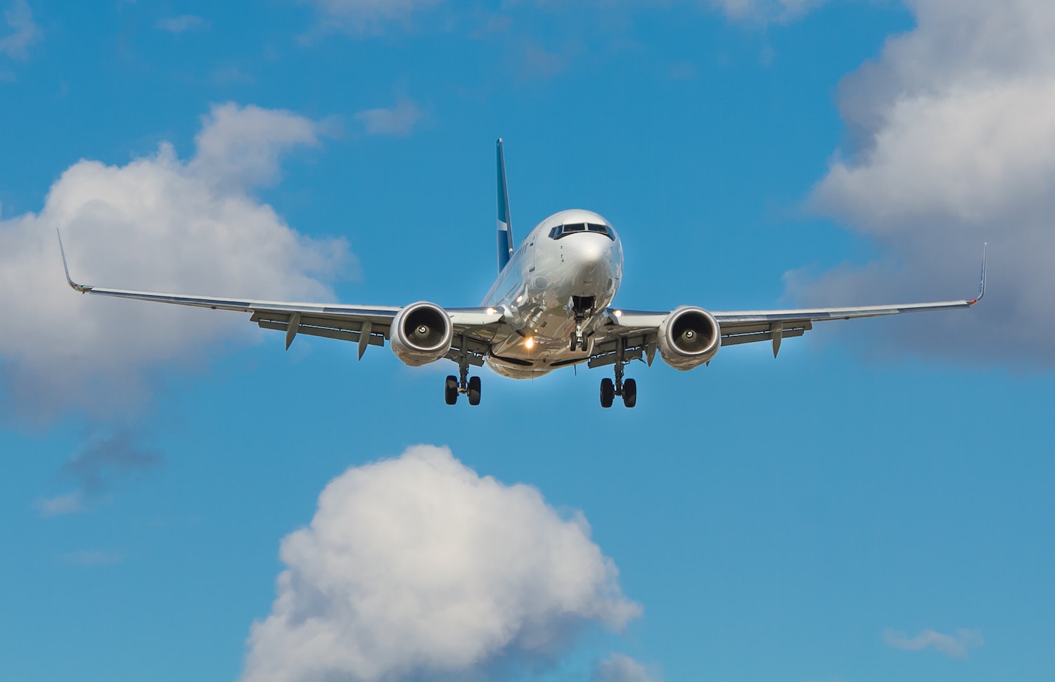 Der Airline-Verband IATA fordert, dass die Corona-Maßnahmen beim Fliegen sofort nach Ende der Pandemie zurückgenommen werden. Foto: Unsplash