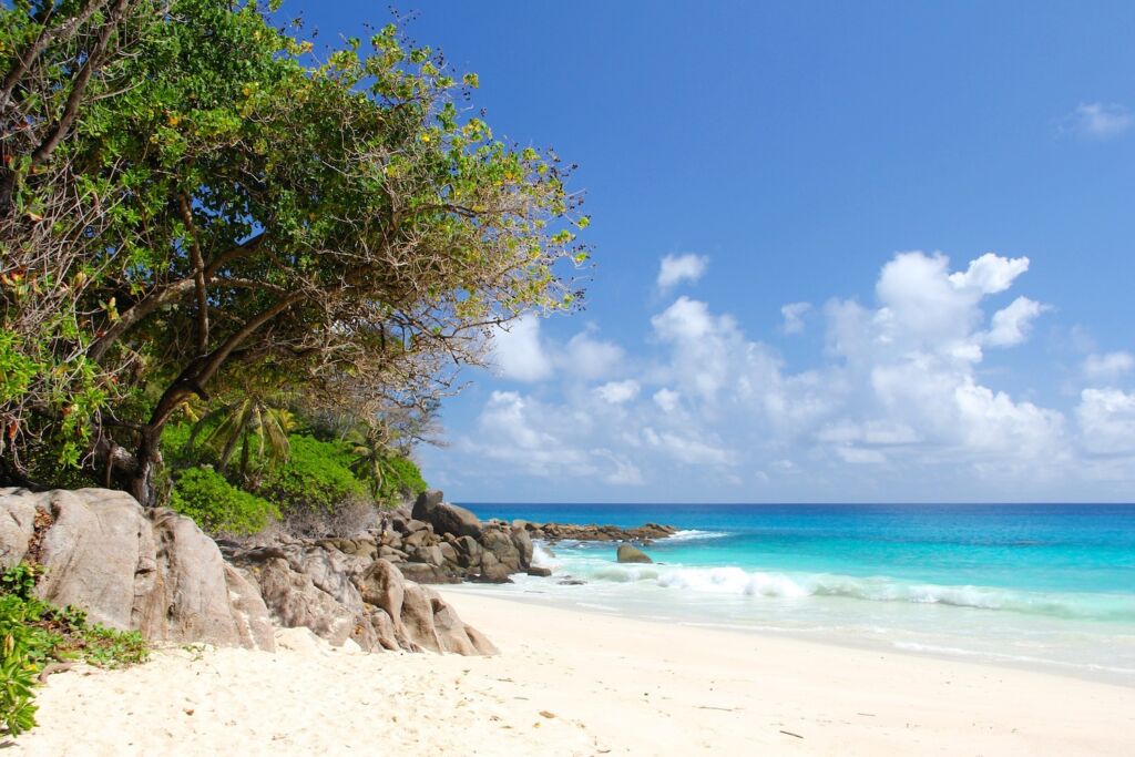 Traumreiseziel Seychellen: Der Inselstaat hat als eines der ersten Länder weltweit Erleichterungen für Geimpfte beschlossen. Foto: Pixabay