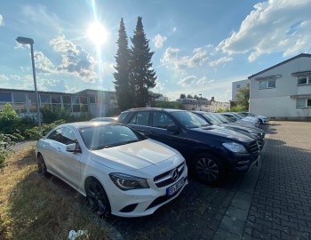 Alpha-Parks